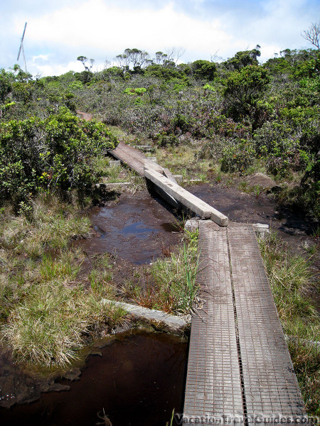 Kauai Hawaii - Alakai Swamp Trail Broken Boardwalk