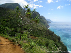 Kauai Hawaii - Kalalau Hanakapiai Hike Na Pali Coast