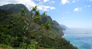 Na Pali Coast – Hanakapiai Falls Hike Kauai Hawaii - Kalalau Hanakapiai Hike Na Pali Coast