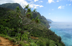Na Pali Coast – Hanakapiai Falls Hike Kauai Hawaii - Kalalau Hanakapiai Hike Na Pali Coast
