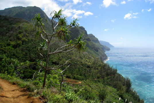 Na Pali Coast – Hanakapiai Falls Hike Kauai Hawaii - Kalalau Hanakapiai Hike Na Pali Coast