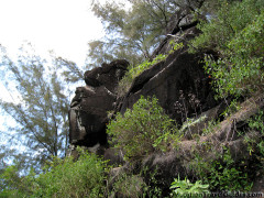 Kauai Hawaii - Kalalau Hanakapiai Hike - Man Face