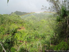 Kauai Hawaii - Kalalau Hanakapiai Trail Hike - Rainbow