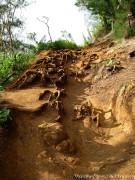 Kauai Hawaii - Kalalau Hanakapiai Trail Hike - Terrain