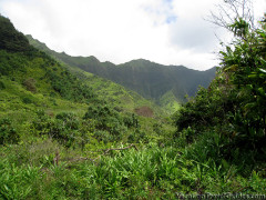 Kauai Hawaii - Kalalau Hanakapiai Trail - Valley