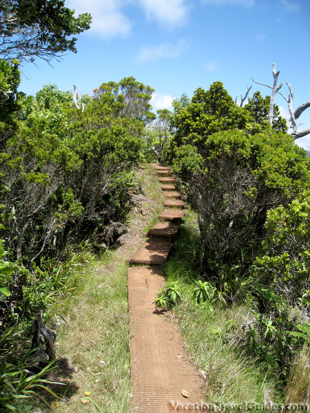 Kauai Hawaii - Kilohana Lookout Hike Boardwalk