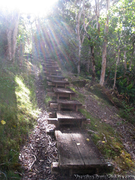 Kauai Hawaii - Pihea Alaka'i Swamp Boardwalk Stairs