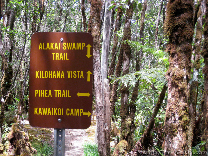 Hawaii Kauai - Pihea - Alakai Swamp Trail Intersection Sign