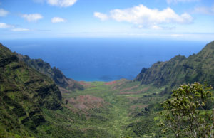 Pihea – Alakai Swamp Hike Kauai Hawaii - Pihea Kalalau Valley