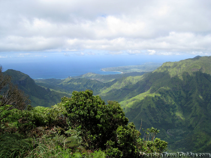 Kauai Hawaii - Pihea - Alaka'i Swamp Trail - Kilohana Lookout Hike