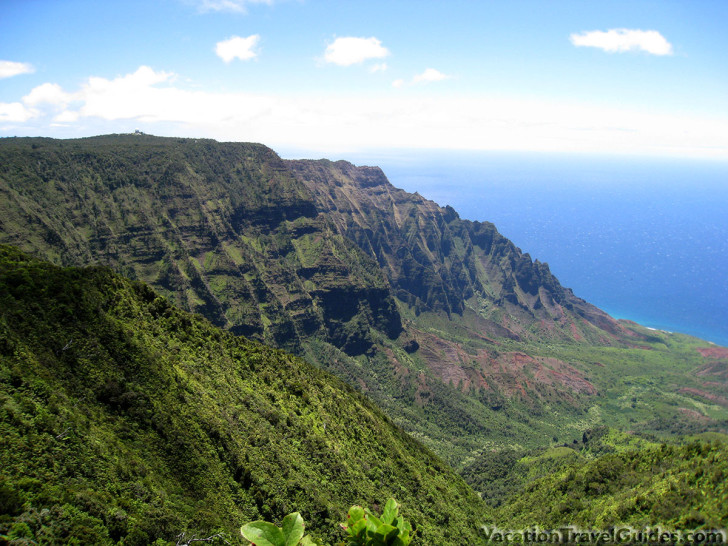 Kauai Hawaii - Pihea - Alaka'i Swamp Trail Lookout