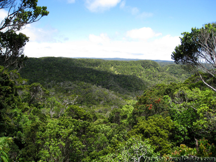 Kauai Hawaii - Pihea - Alaka'i Swamp Trail - Scenic View