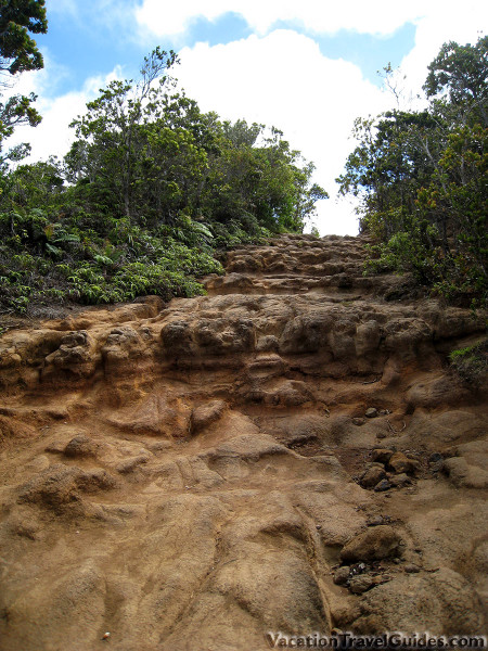 Kauai Hawaii - Pihea - Alakai Swamp Trail Terrain