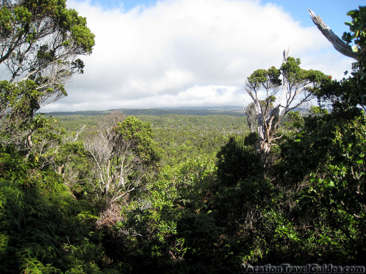 Kauai Hawaii - Pihea - Kilohana Lookout Hike Scenery