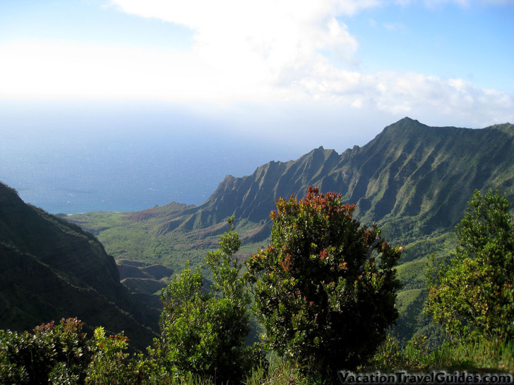 Pihea Trail View