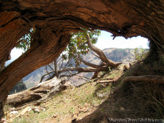 Kauai - Waimea Canyon Trail Hike