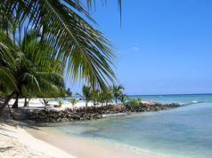 Dominican Republic Dominican Republic Punta Cana Beach