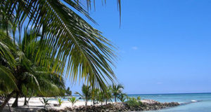 Dominican Republic Dominican Republic Punta Cana Beach