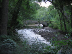 Minnesota Minnesota Park Hike - River Bridge