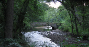 Minnesota Minnesota Park Hike - River Bridge